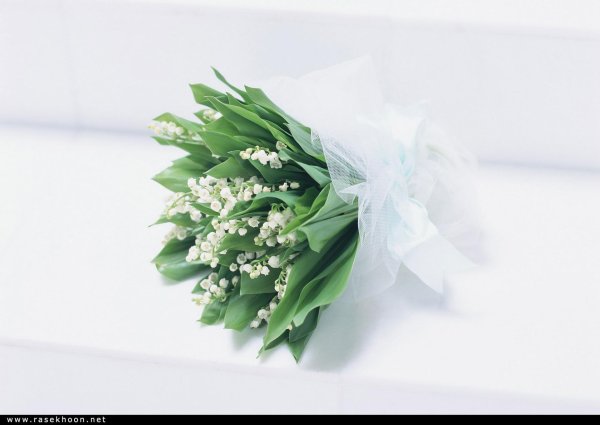 ландыш букет