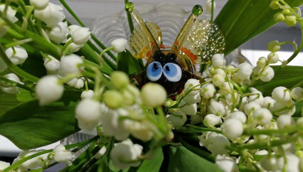 весенний ландыш