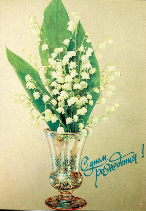 ландыш майский розеа