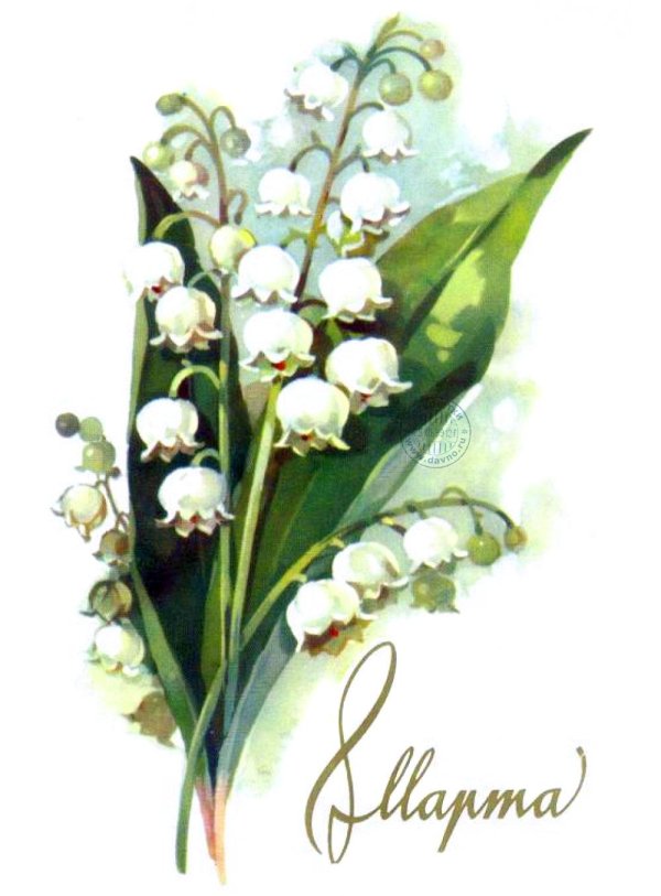 цветок ландыш