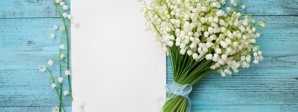 весенние цветы