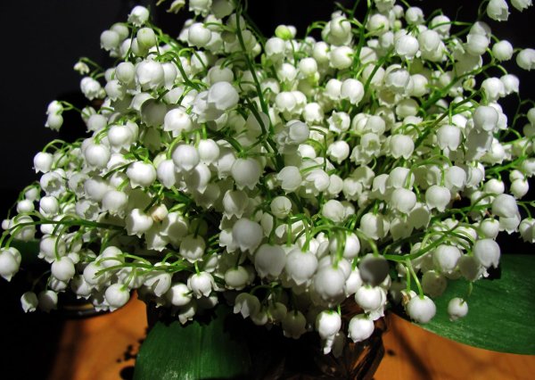 ландыш букет