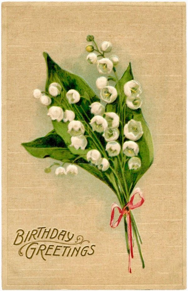 ландыш майский розеа