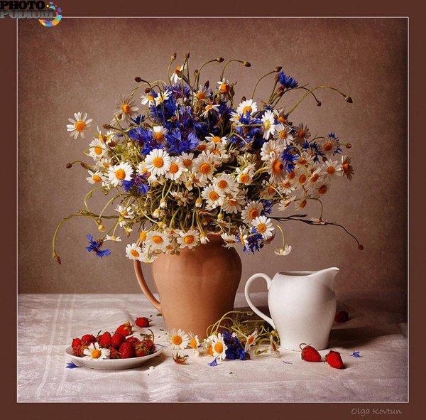 фотонатюрморты татьяны скороход ромашки