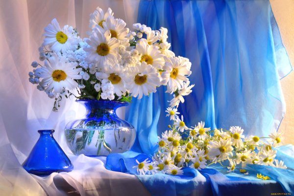 цветы в вазе