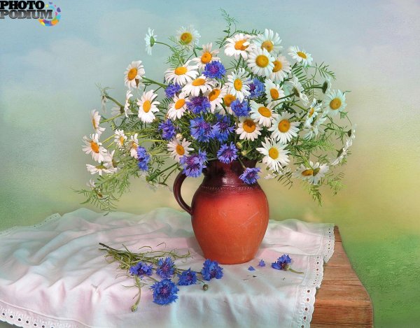 ромашка в вазе