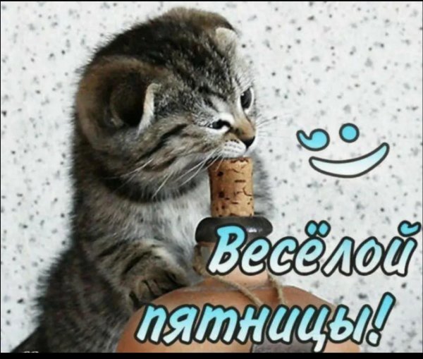 веселая пятница