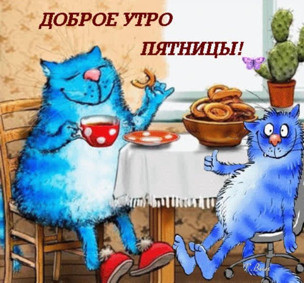 синий кот ирины зенюк