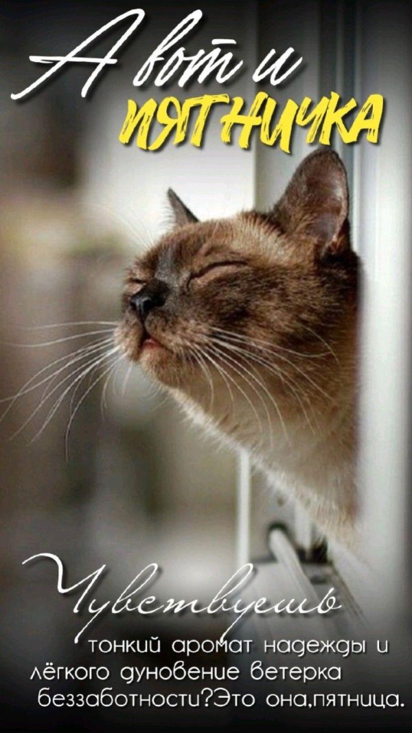 запах весны