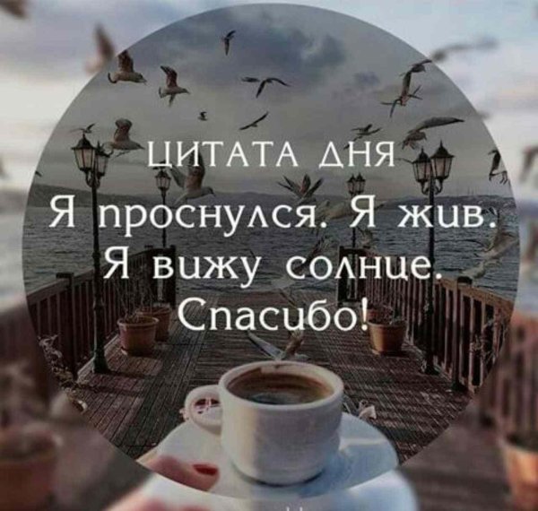 красивые утренние фразы
