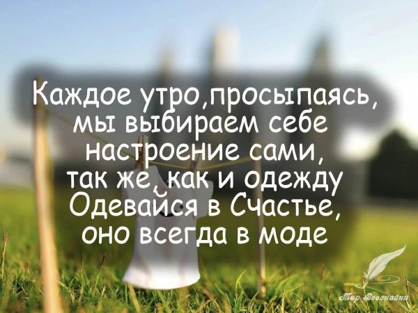 высказывания о счастье