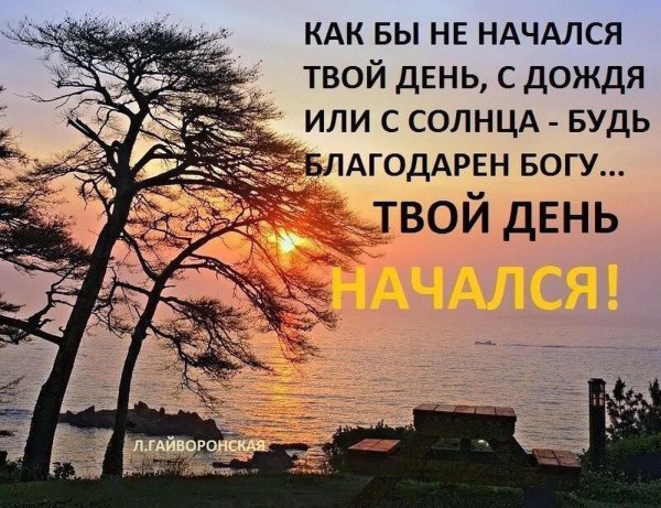 благодарю бога