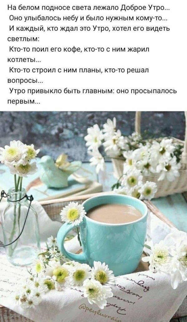 нежного летнего утра