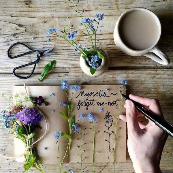 идеи для вдохновения