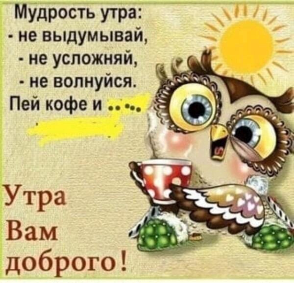 мудрость утра