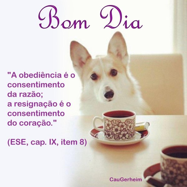 доброе утро щеночки