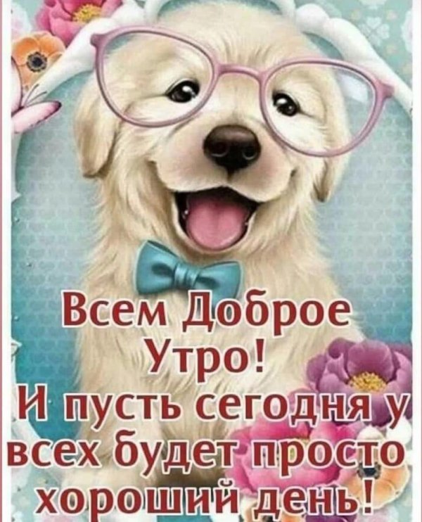 всем добрейшего утра