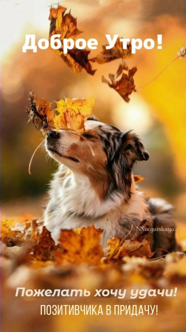 добрейшего осеннего утра