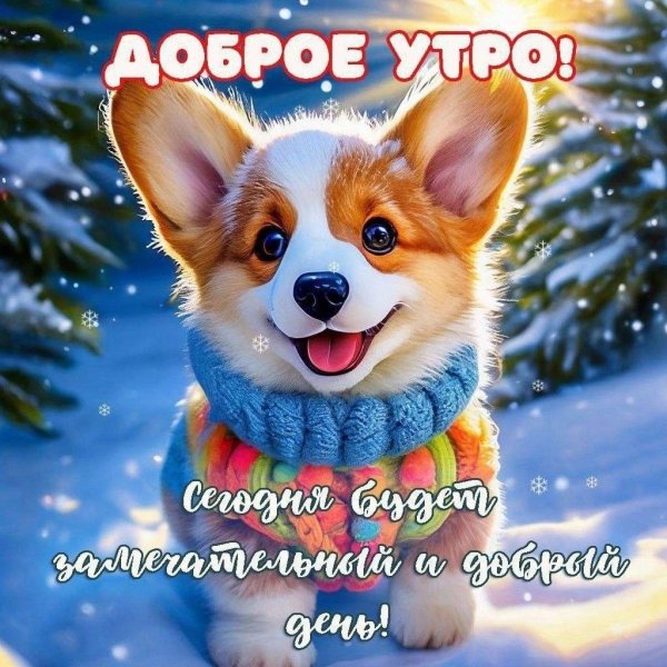 доброго утра зима