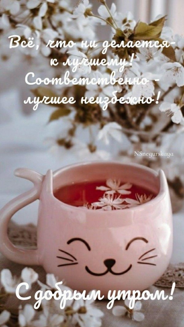 добра утра