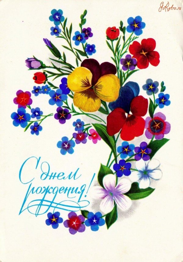 анютины глазки цветок