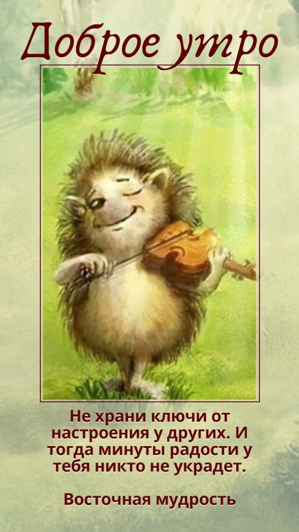 доброе утро ёжики смешные