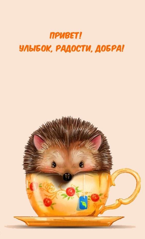 открытки привет