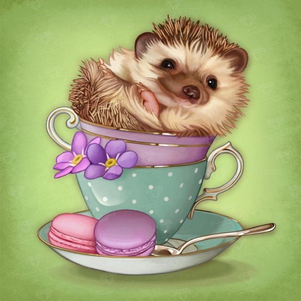 милые ежики