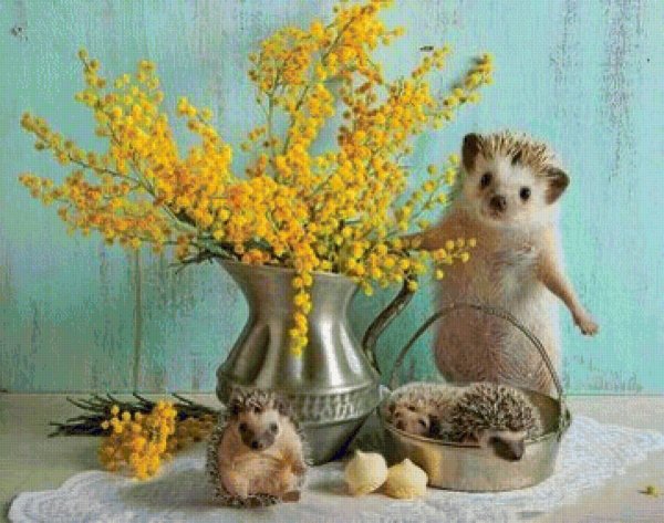 ежуванчики елена еремина