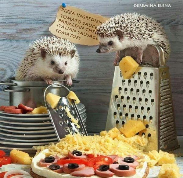 ежики ереминой