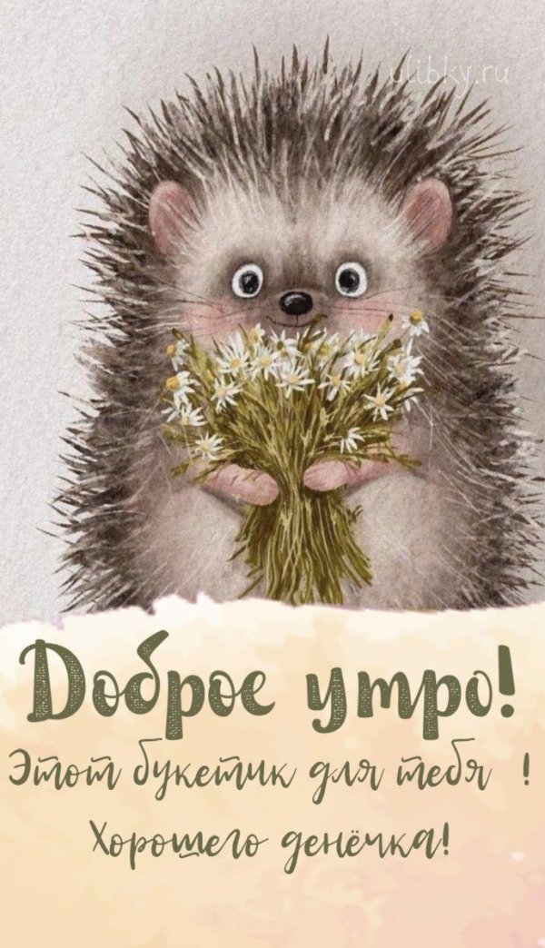 открытки с ёжиками прикольные