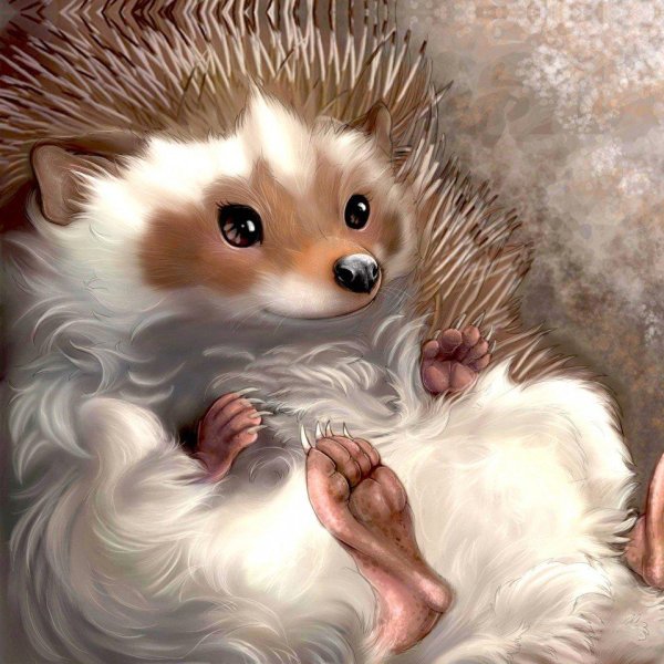 милые ёжики