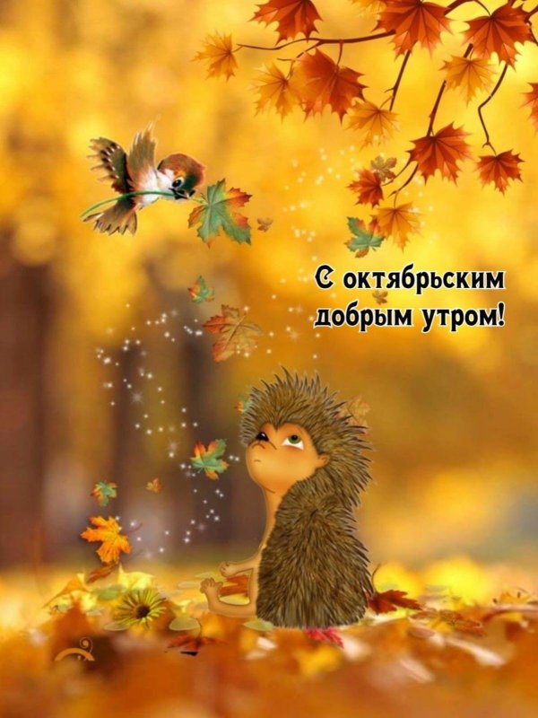с добрым осеннем утром