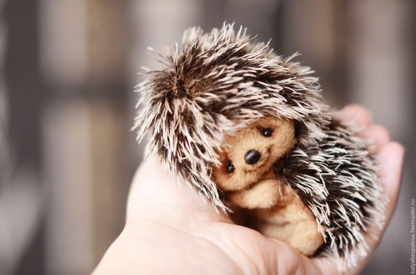 катя беспалова игрушки