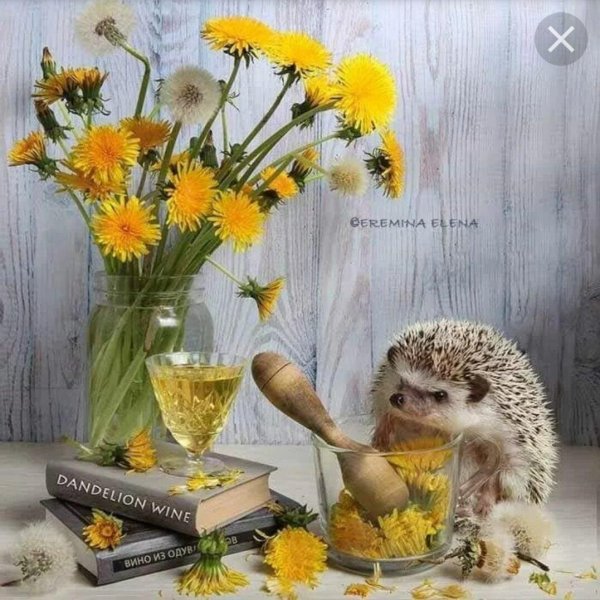 ежуванчики елена еремина