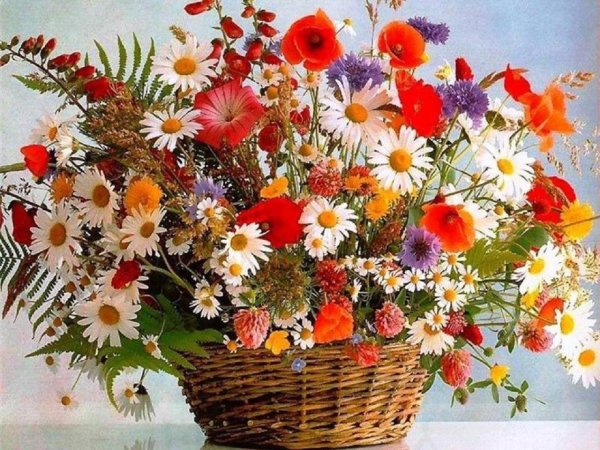 открытки корзина с полевыми цветами