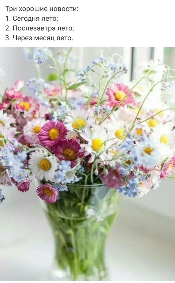 летние букеты