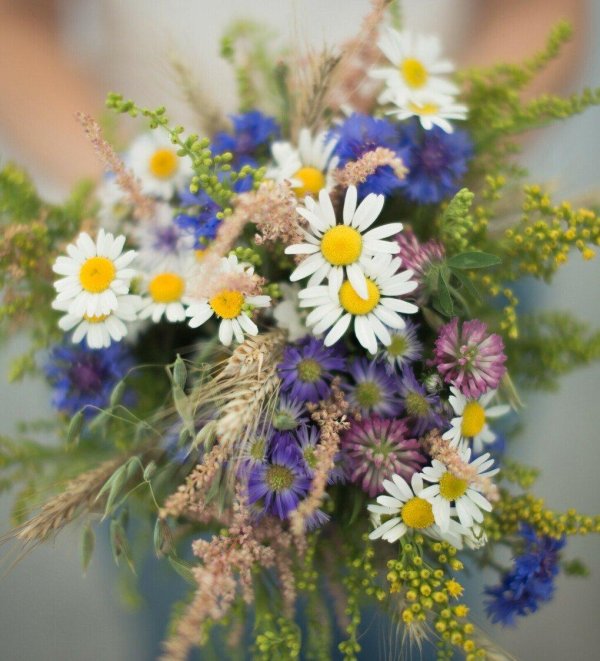 полевой букет