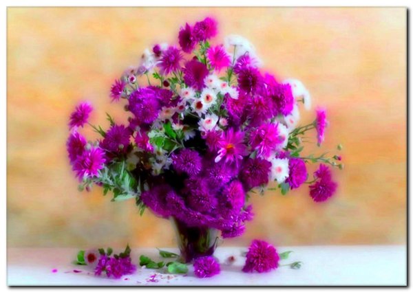 фотонатюрморты светланы лебедевой