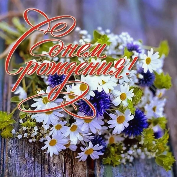 открытка с днём рождения женщине с полевыми цветами