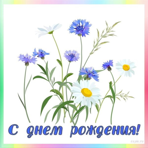 полевые цветы с днем рождения