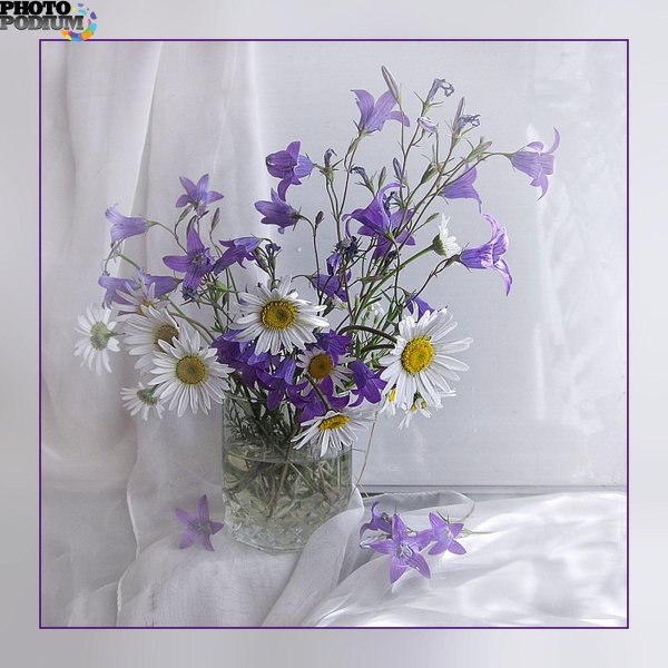 ромашки и колокольчики