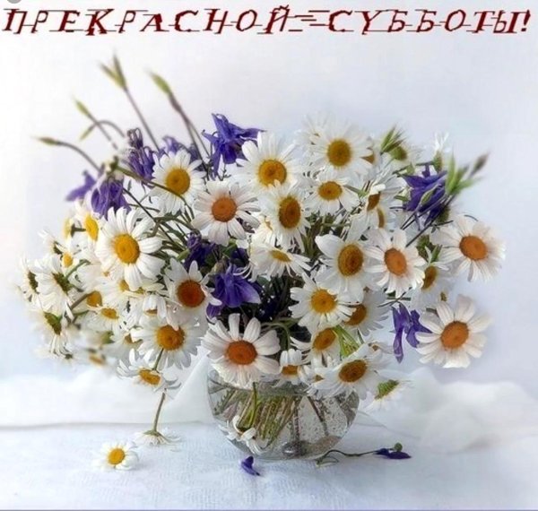 летний букет