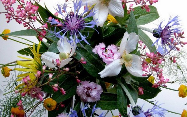 красивые букеты полевых цветов