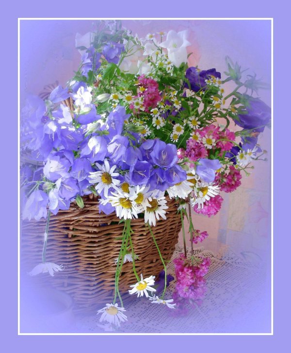 открытка с полевыми цветами