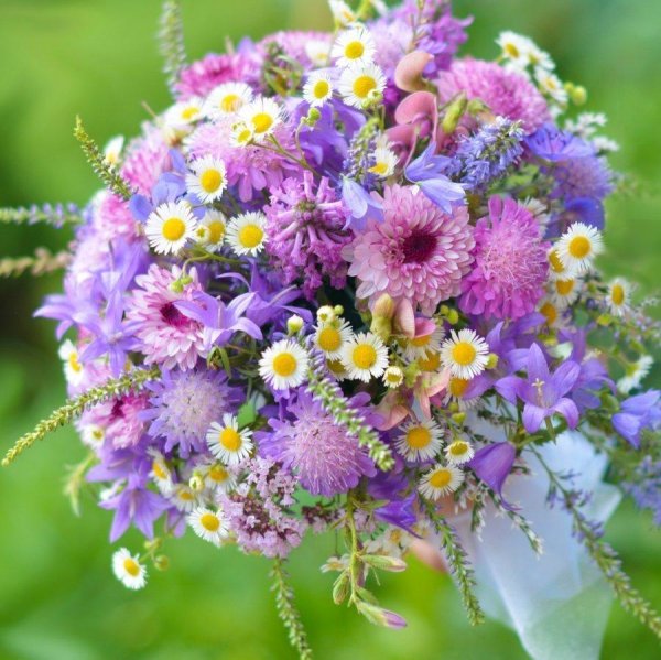 летние букеты