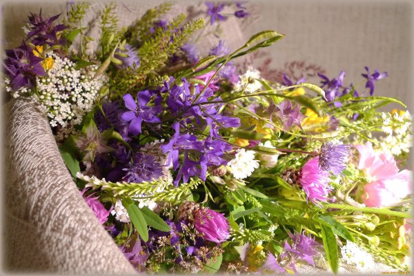 летние букеты