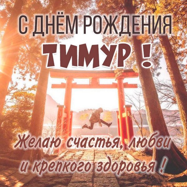 тимура с днем рождения