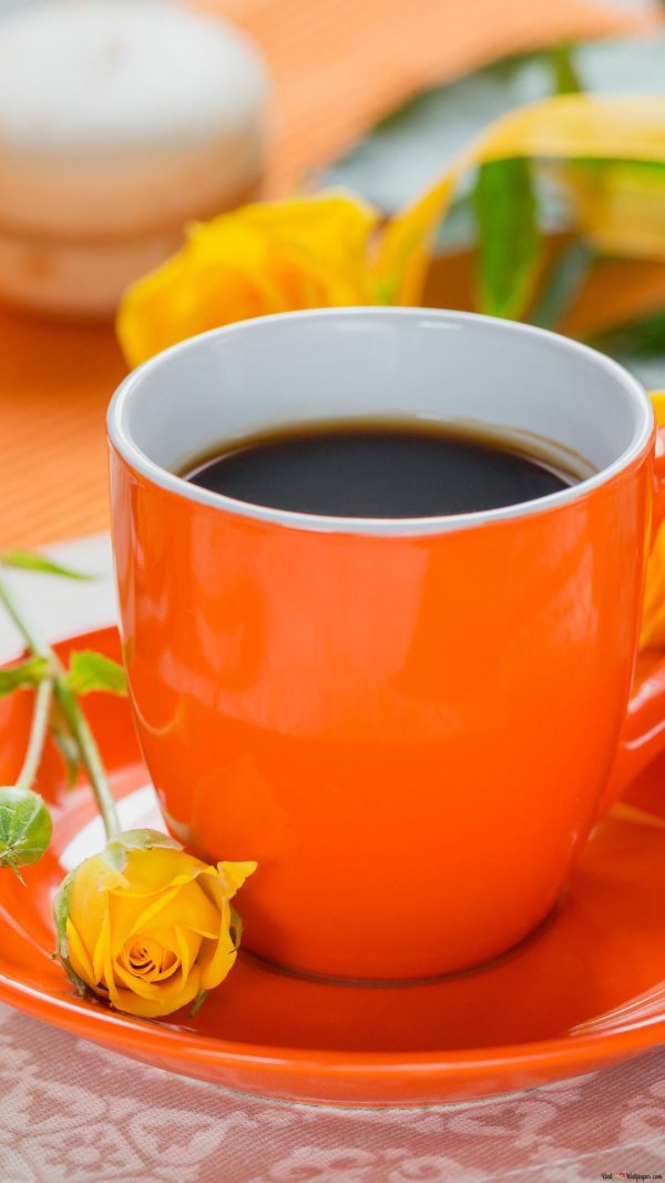 утра доброго