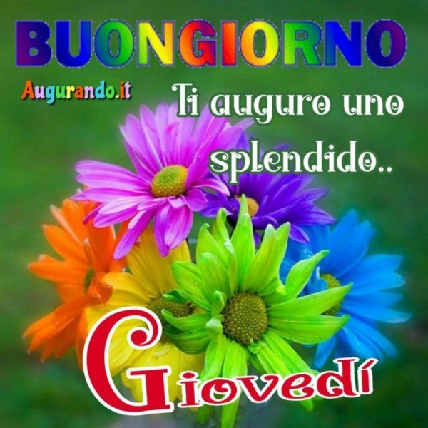 buon giovedi